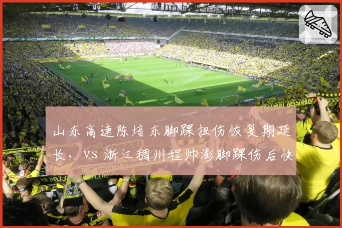 山东高速陈培东脚踝扭伤恢复期延长，vs 浙江稠州程帅澎脚踝伤后快速回归