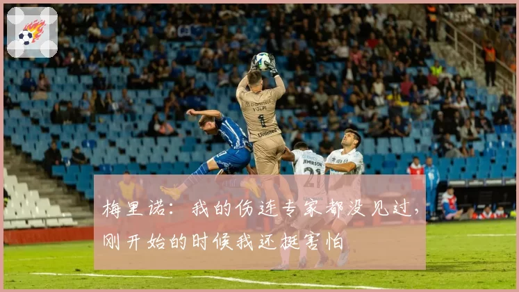 梅里诺：我的伤连专家都没见过，刚开始的时候我还挺害怕