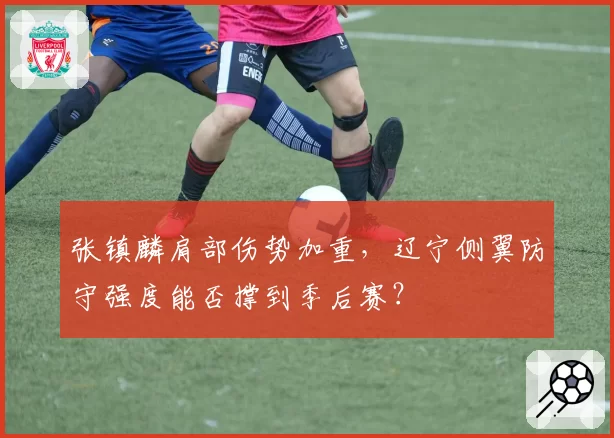 张镇麟肩部伤势加重，辽宁侧翼防守强度能否撑到季后赛？